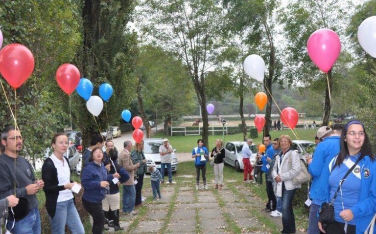 Dressage Fisdir a Cislago