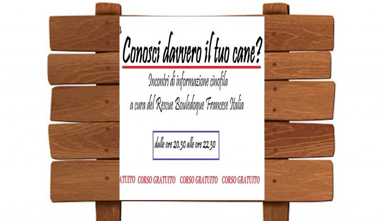 “Conosci davvero il tuo cane?” Anche in Lis! “Conosci davvero il tuo cane?” Anche in Lis!