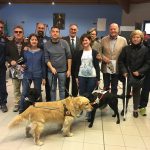 Cani Guida a Tradate