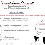 programma (2)