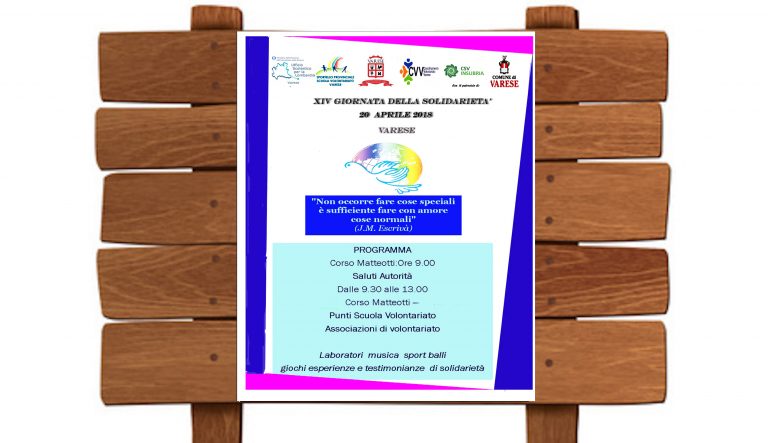 XV “Giornata della Solidarietà”. Colori, musica e allegria nel cuore di Varese
